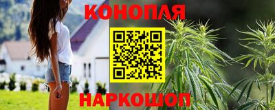 индика Комсомольск-на-Амуре