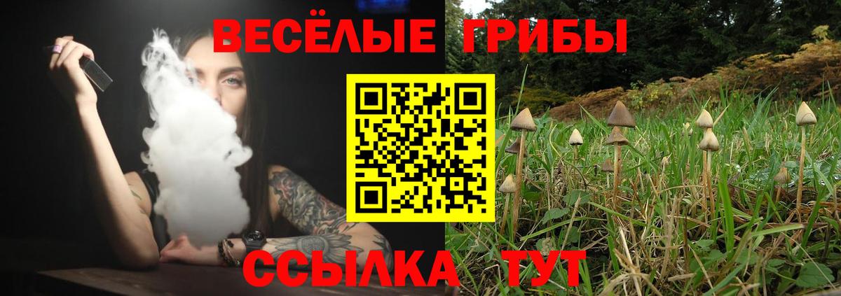 Псилоцибиновые грибы Magic Shrooms Фрязино