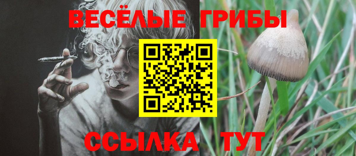 наркошоп  Галлюциногенные грибы мухоморы  Вход с VPN  Псилоцибиновые грибы Psilocybine cubensis  Фрязино 